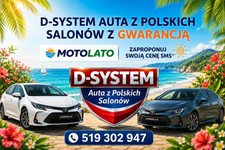 Logo: D-SYSTEM